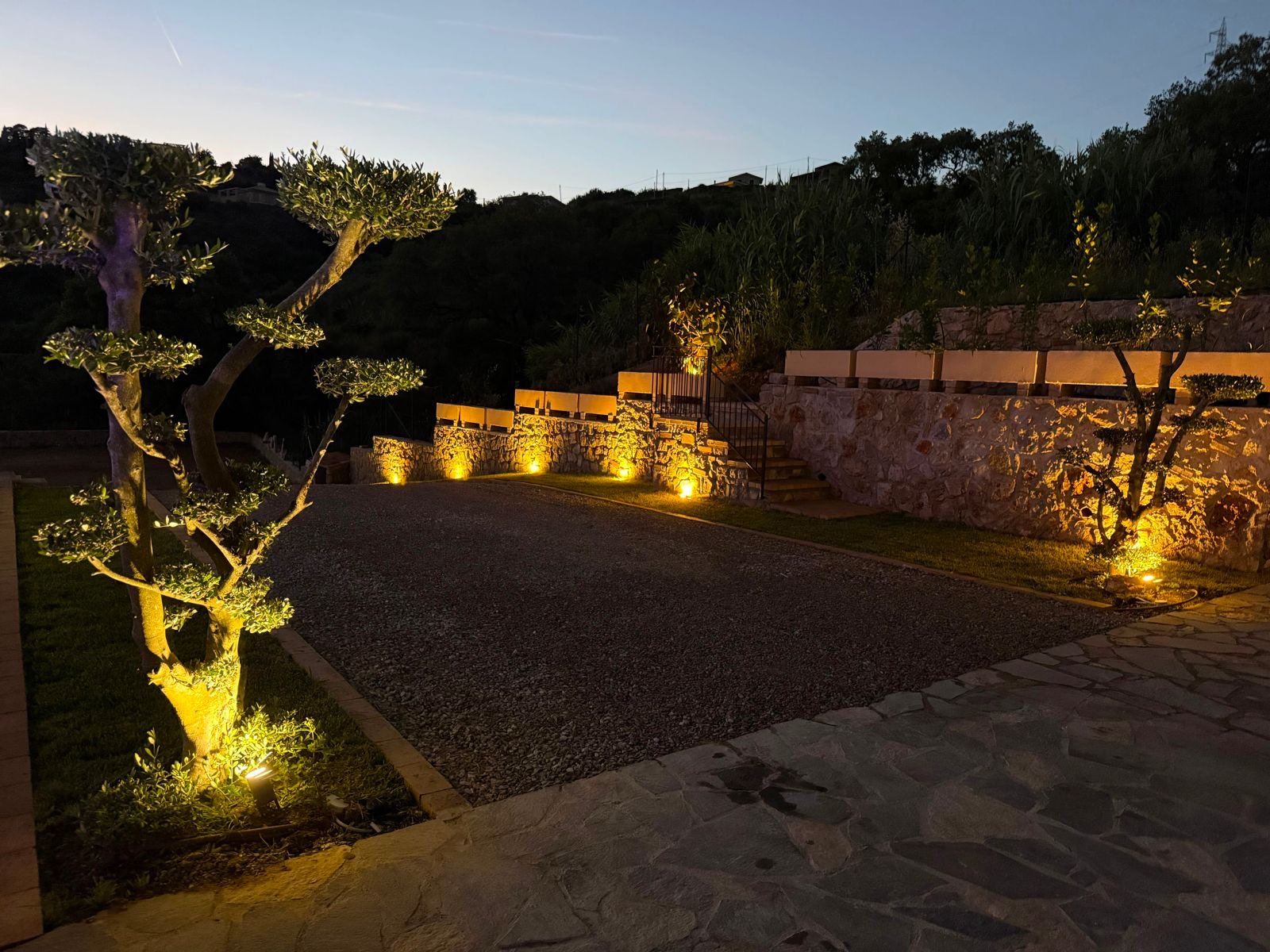 Vialetto in pietra con ulivi bonsai illuminati di sera
