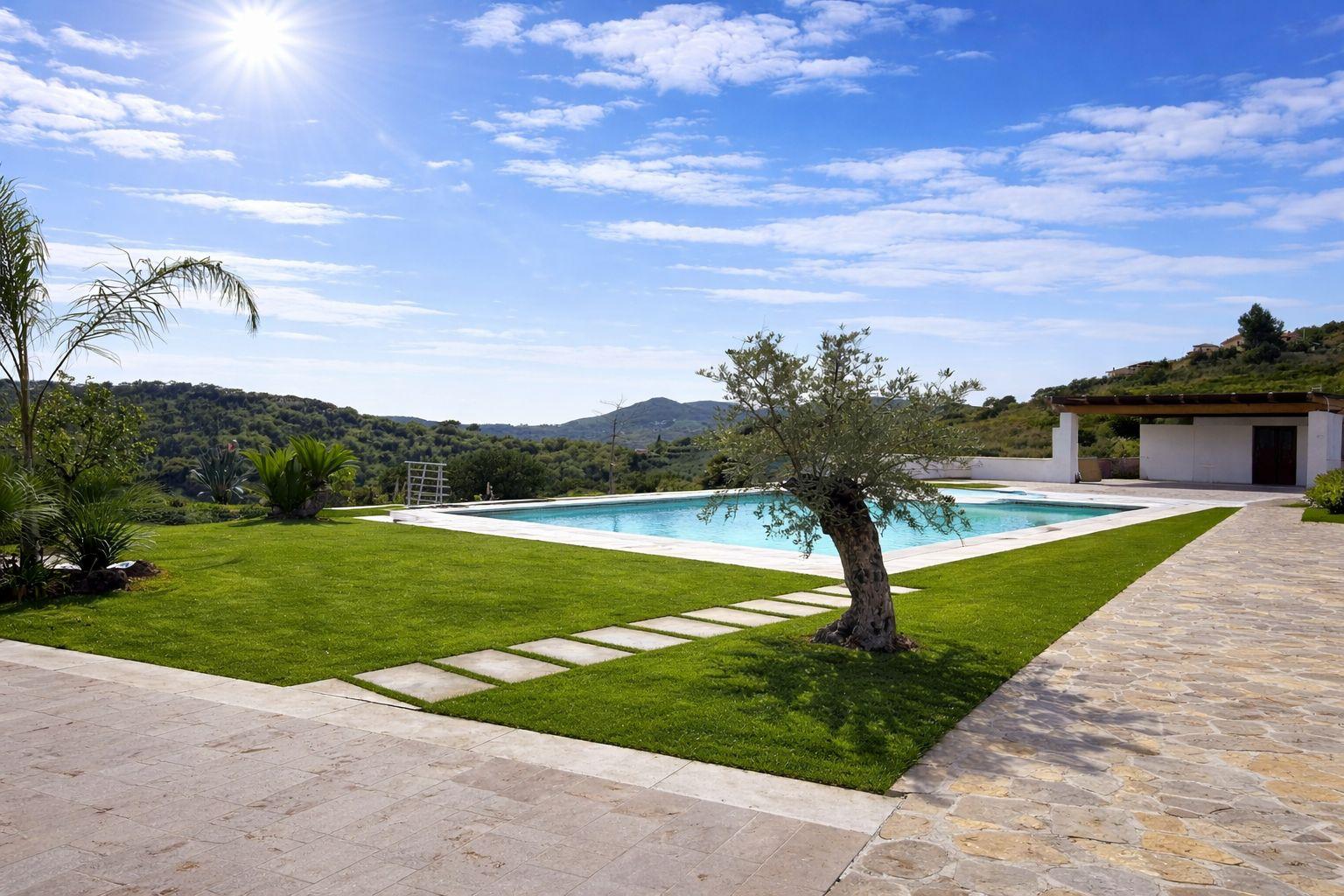 Piscina con ulivo